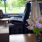 Lilacs for Open Coach Time